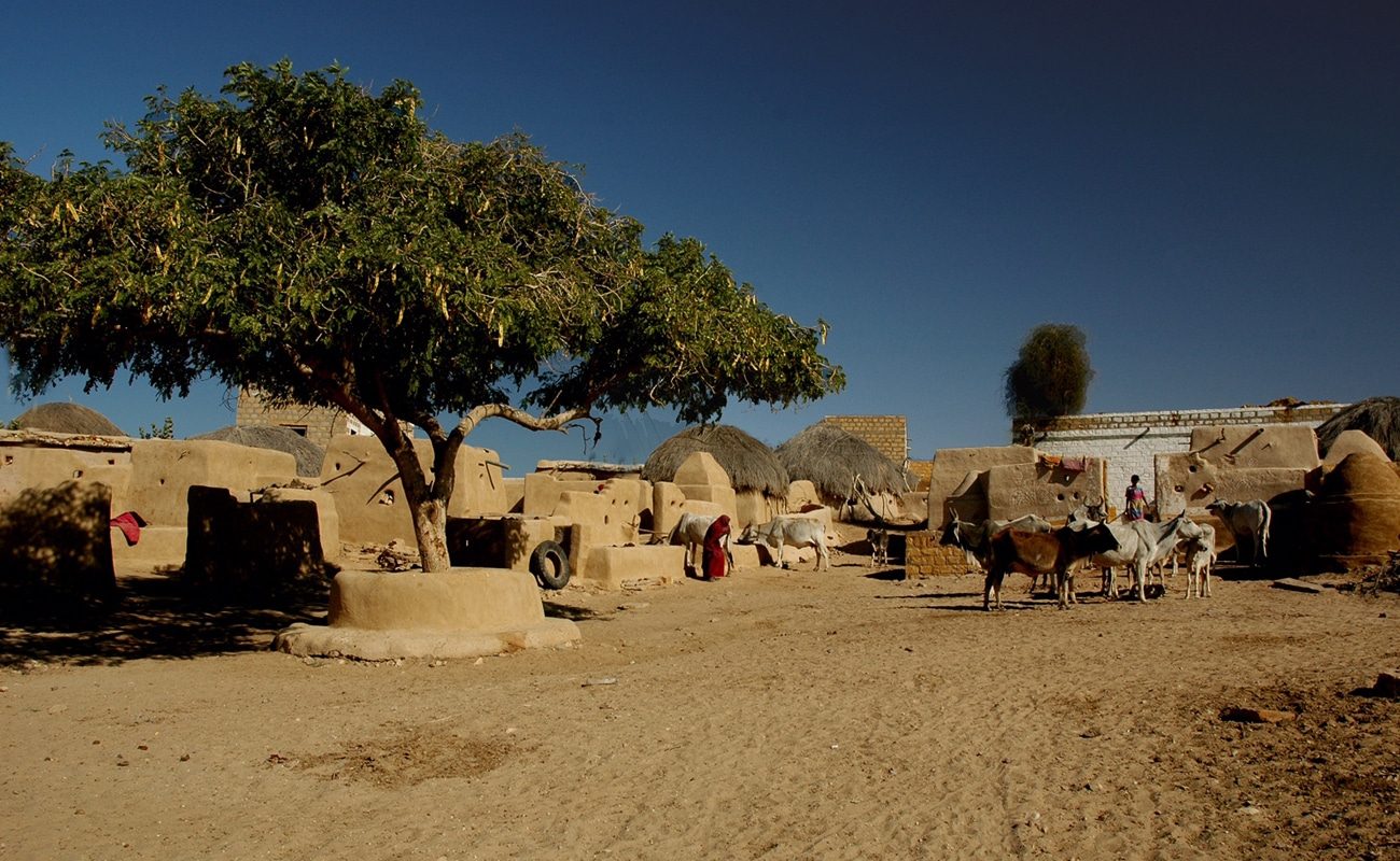 Mewar Festival Tours in India with Rural Rajasthan Tours in India